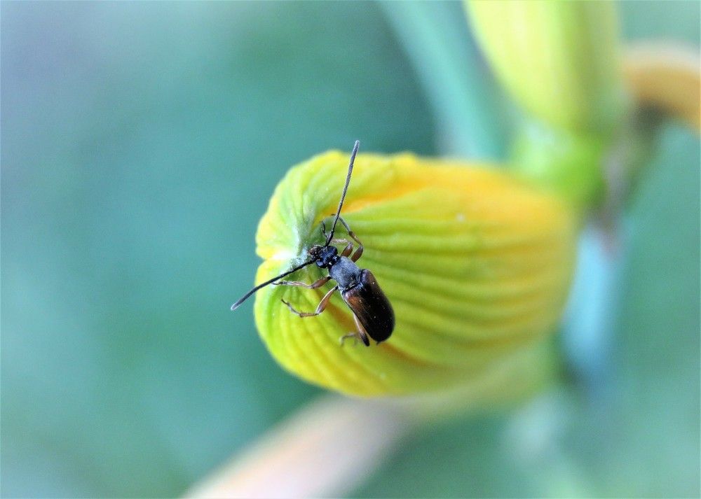 Photograph by НАТАЛЬЯ РОДИНА