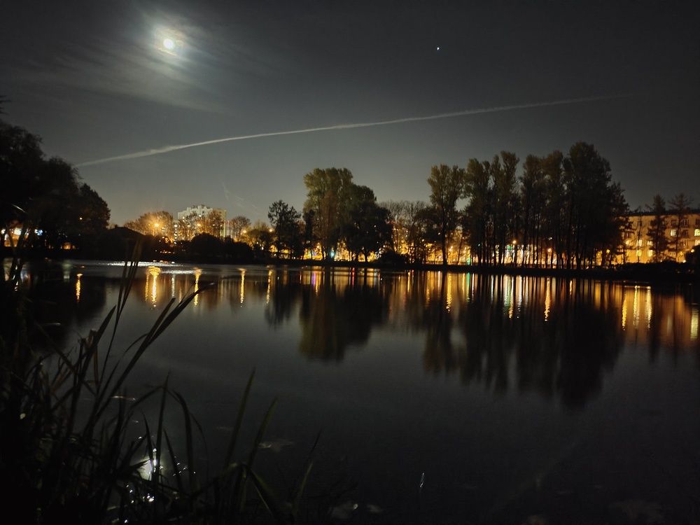 Photograph by Diana