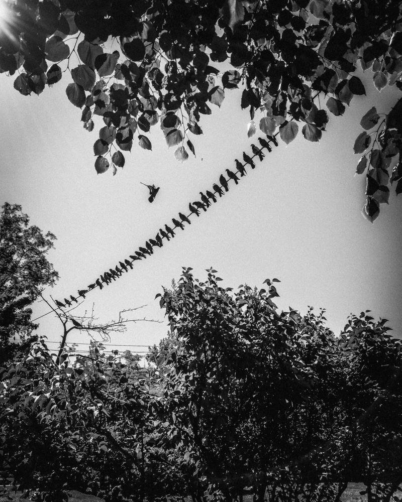 Photograph by Дмитрий Одинцов