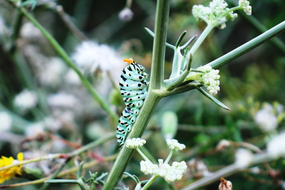 Photograph by Nadzeya