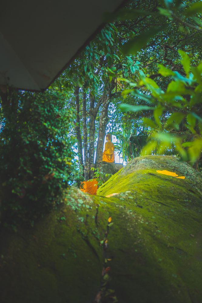 Photograph by Алексей