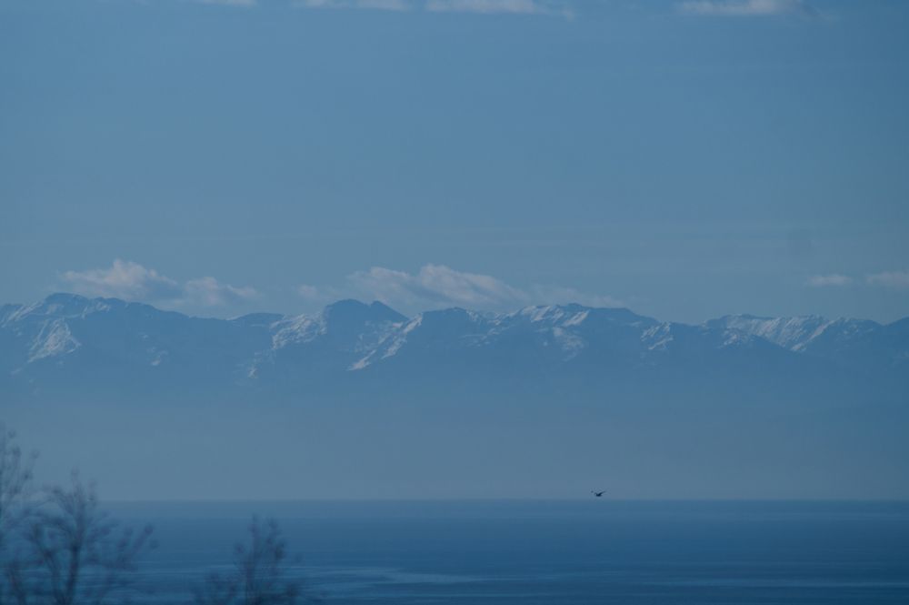 Photograph by Анастасия Пельменёва