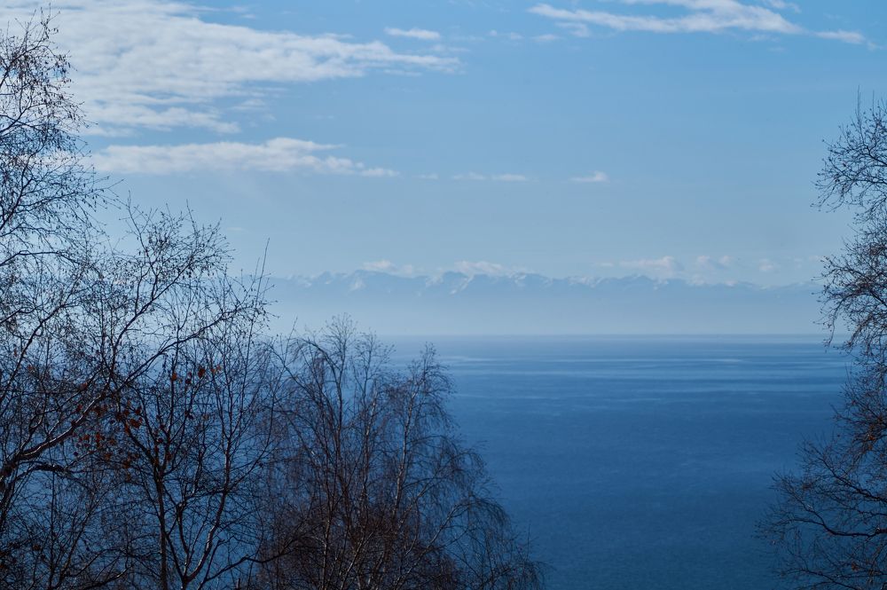 Photograph by Анастасия Пельменёва