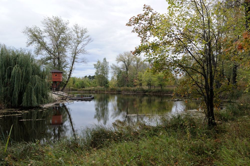 Осенний день на берегу ерика
