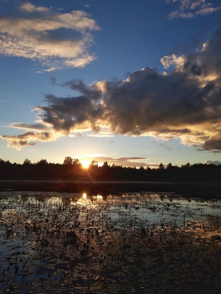Photograph by Анжелика Медведева