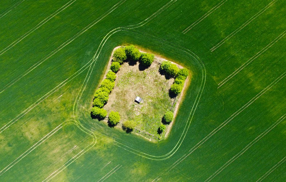 Photograph by Павел Минкевич