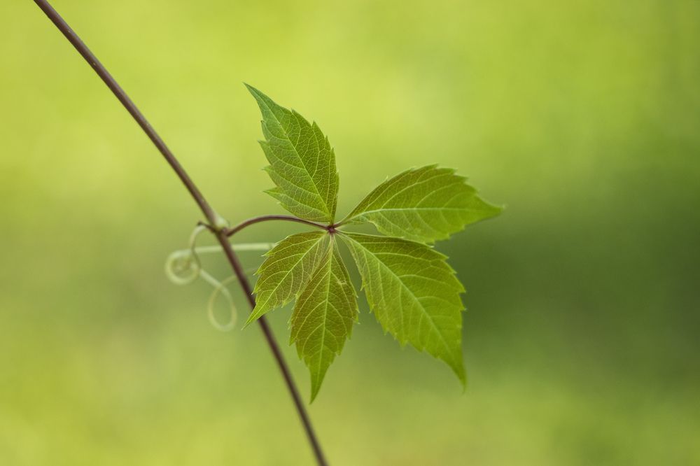 Photograph by Юлия Микульская