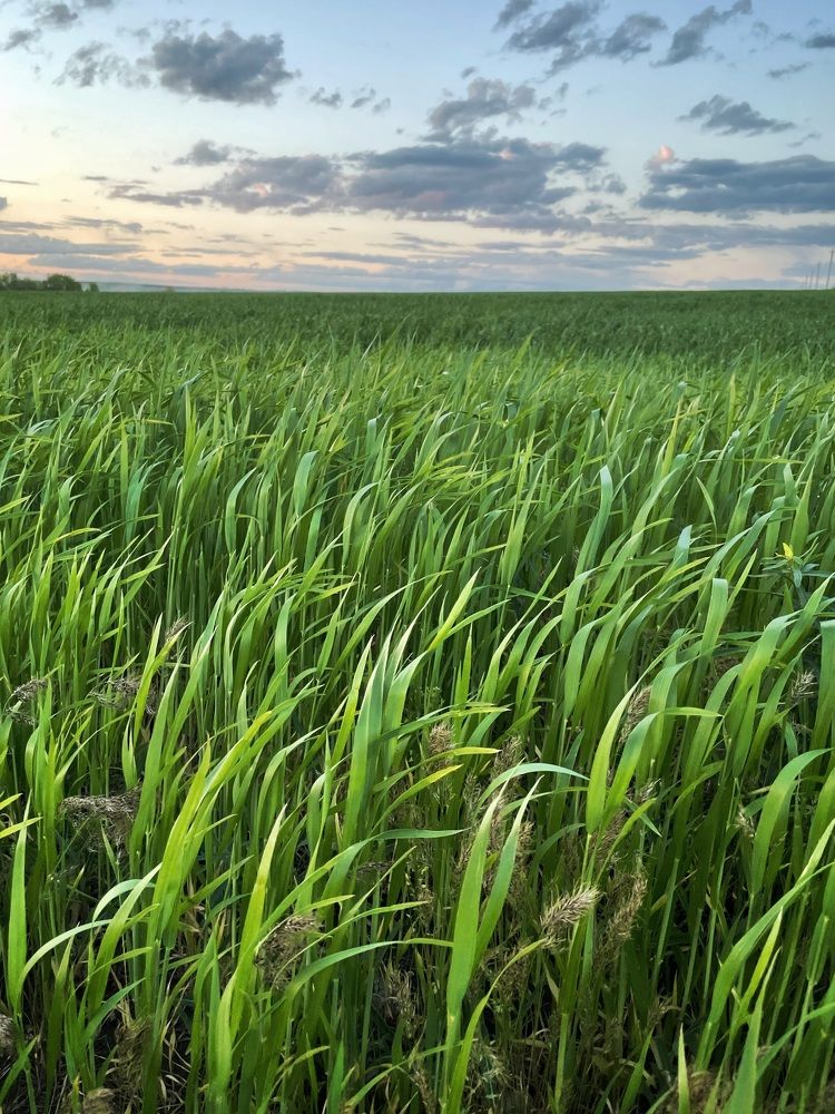 Photograph by Antonina Marchenko