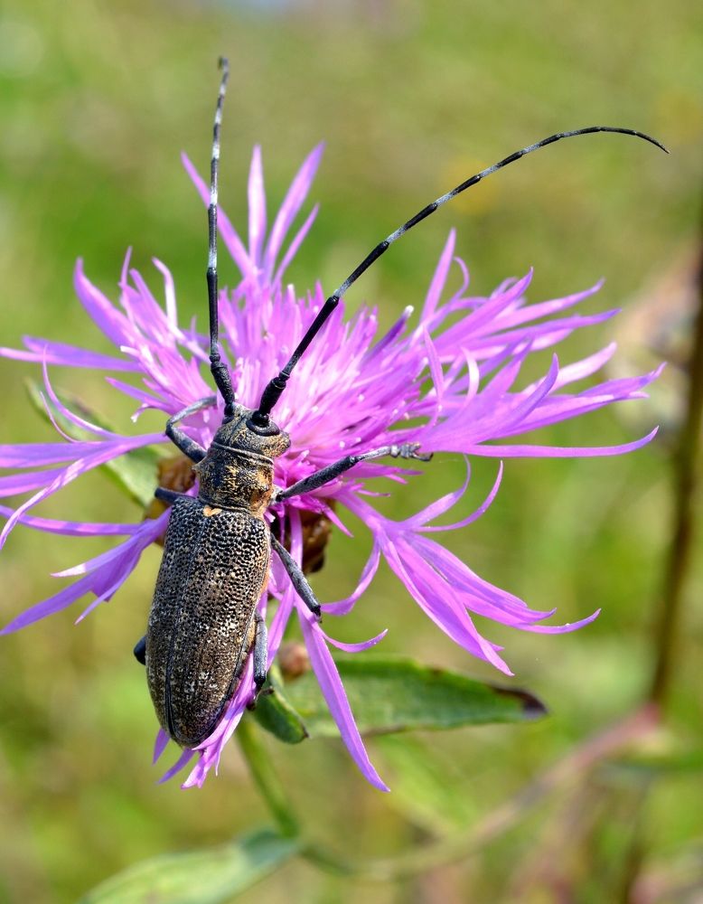 Photograph by Владислав Иопек