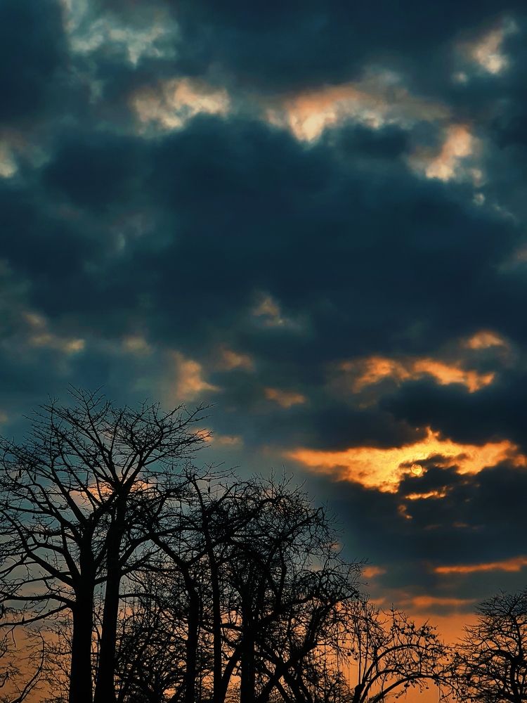 Photograph by Afro Brown