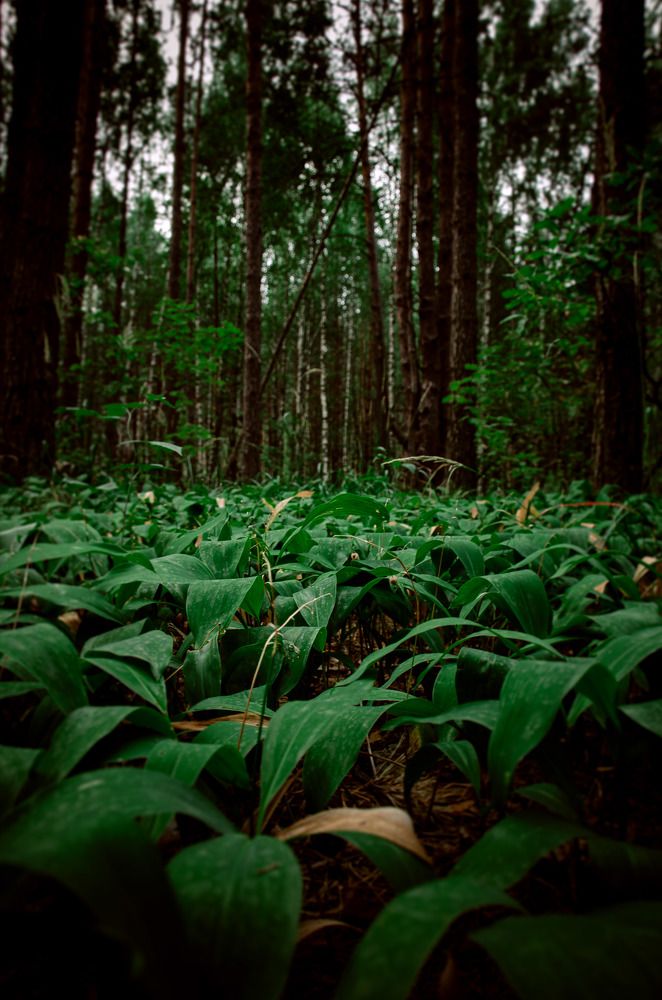 Photograph by Алексей