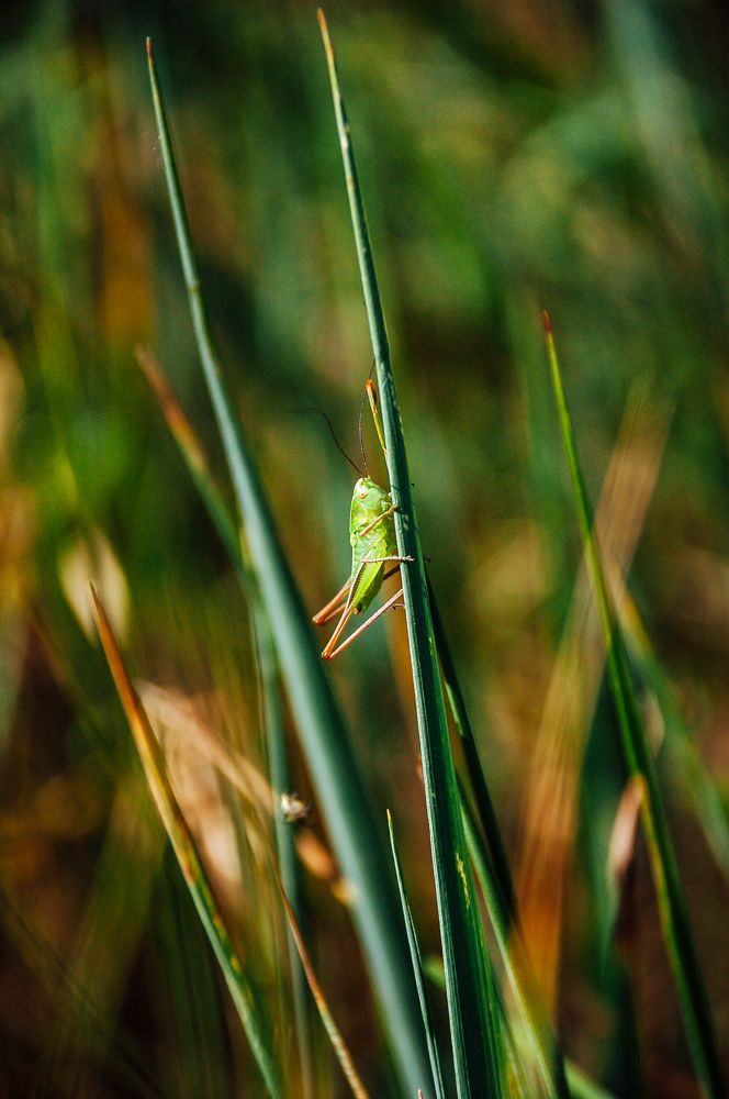 Photograph by Алексей