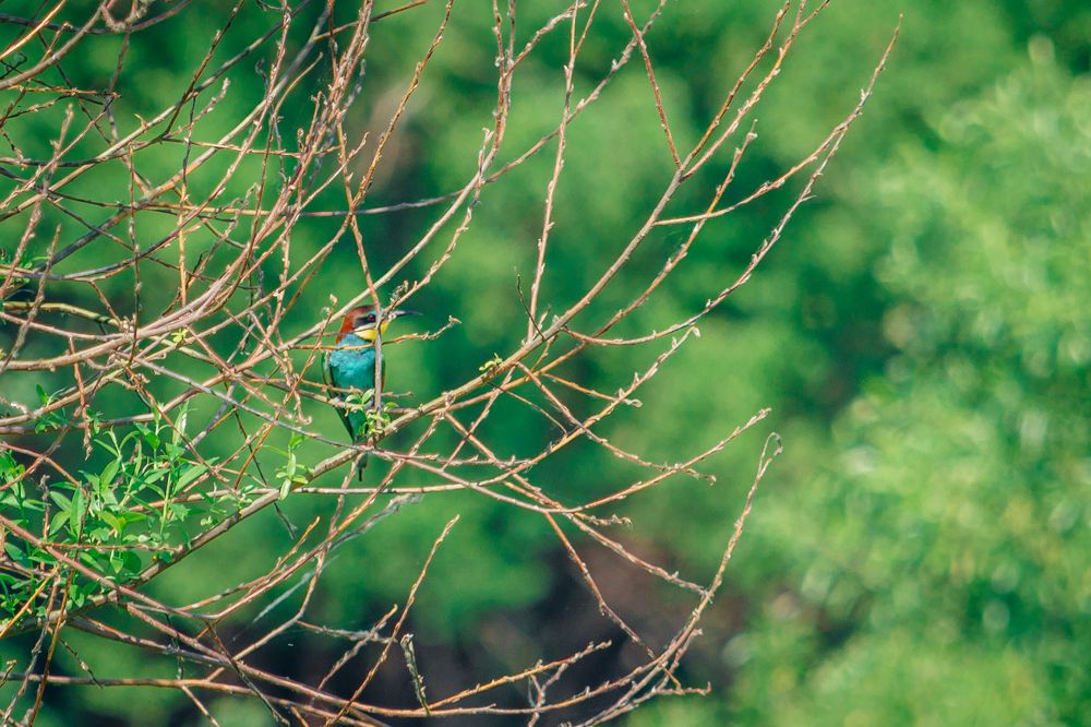 Photograph by Алексей