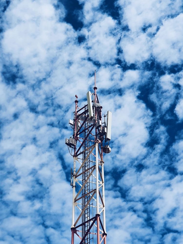 Photograph by Afro Brown