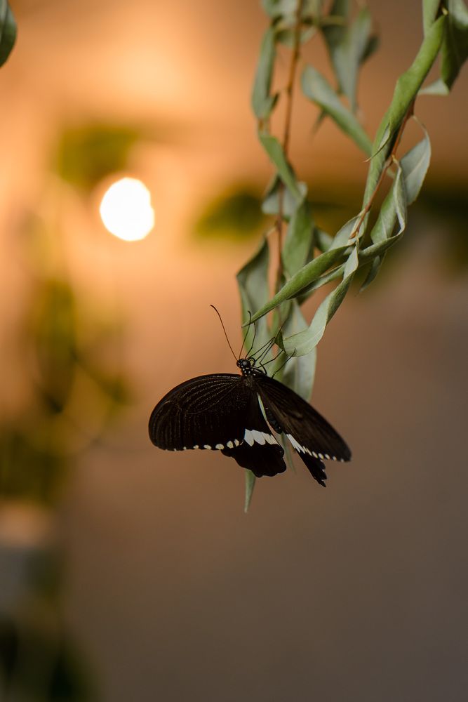 Photograph by Юлия Полянцева