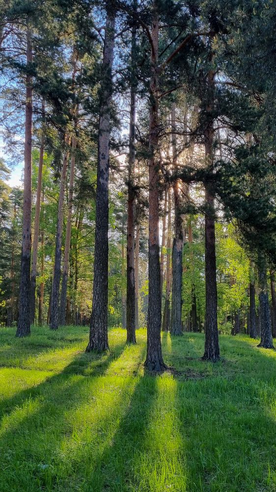 Photograph by Василий Арлашов