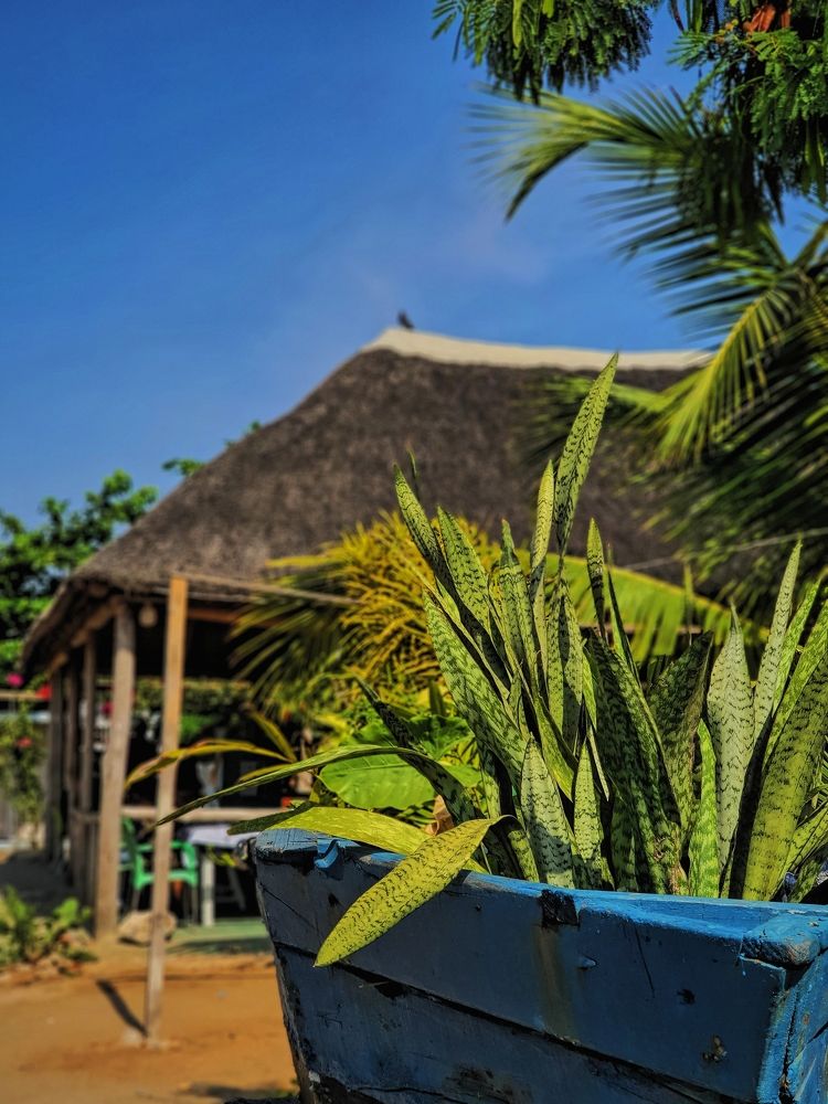 Photograph by Afro Brown