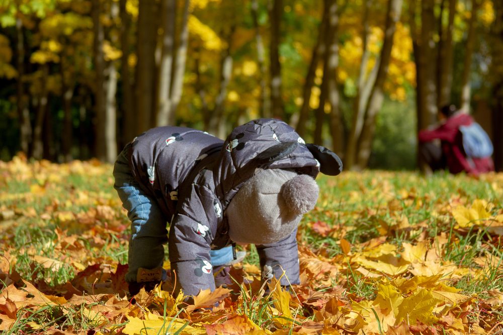 Photograph by Шавров Владислав