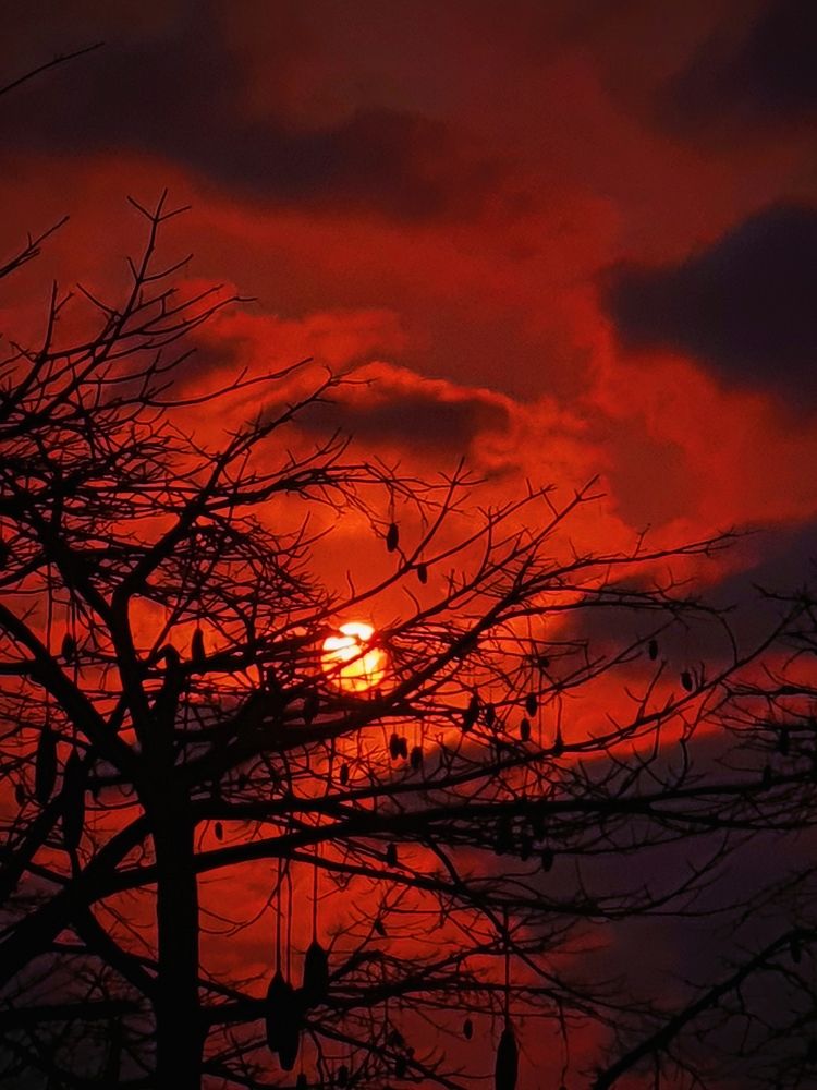 Photograph by Afro Brown