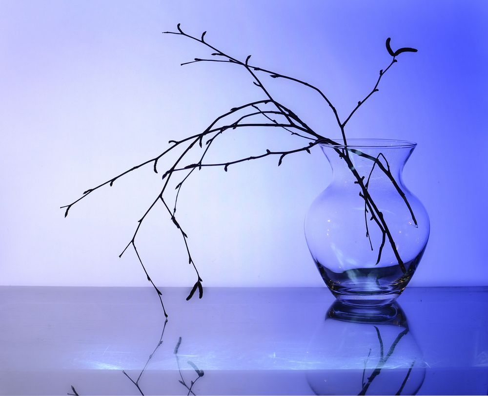 Photograph by Инаида