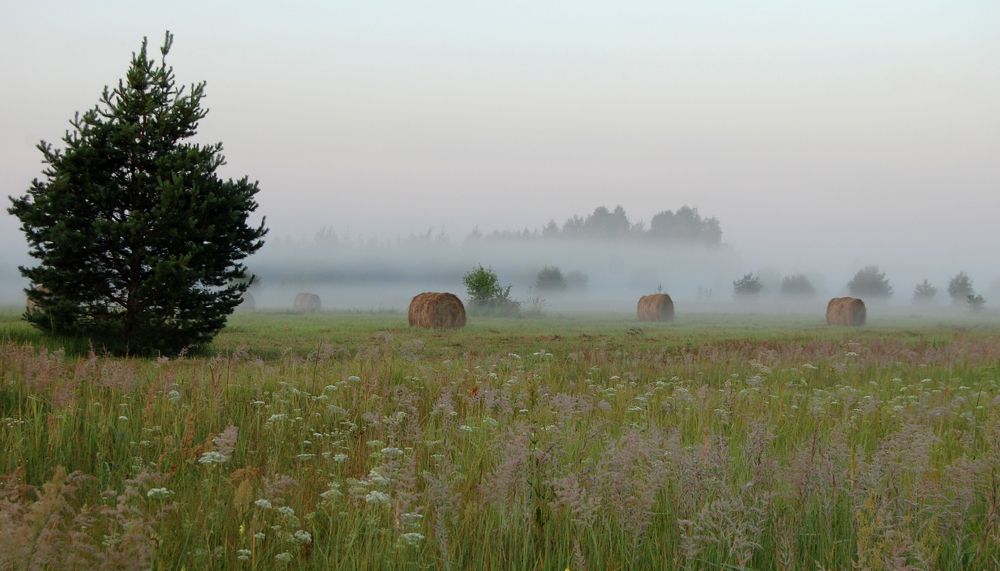 Photograph by Майя Синичкина
