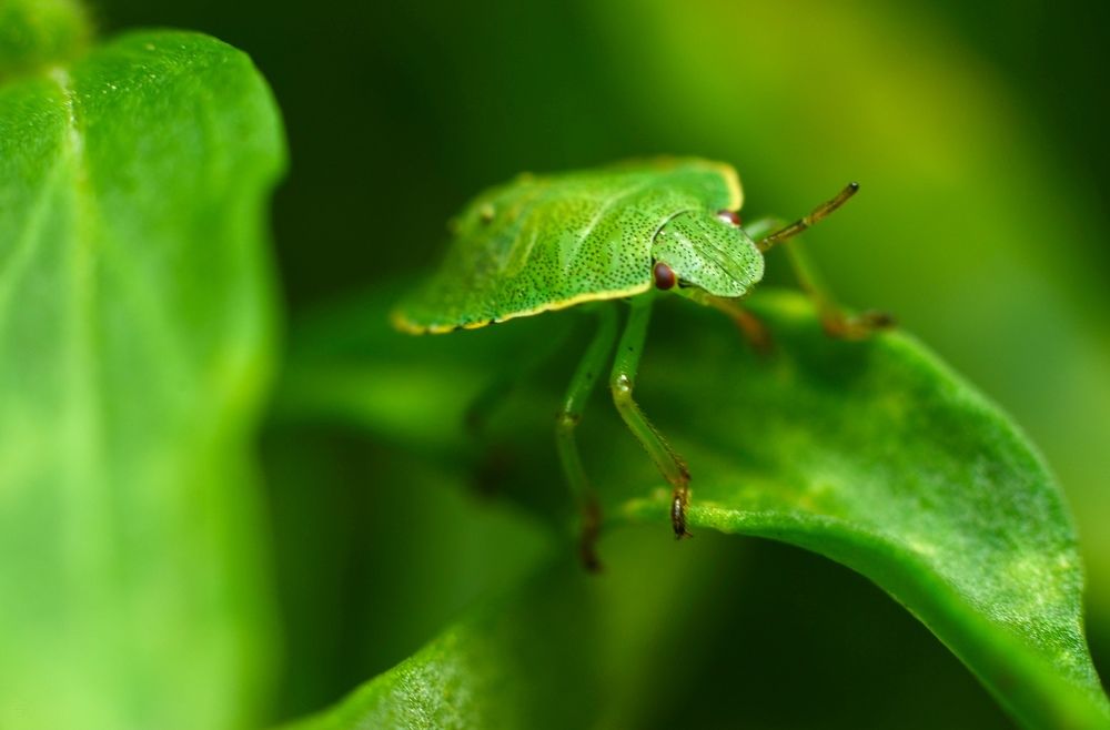 Photograph by Елена Шевченко