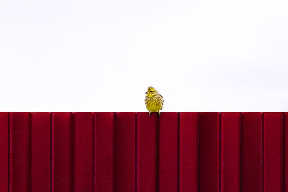 Photograph by Виктор Степанов