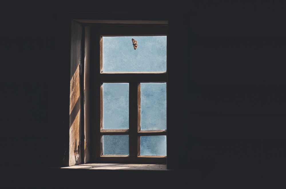 Photograph by Виктор Степанов