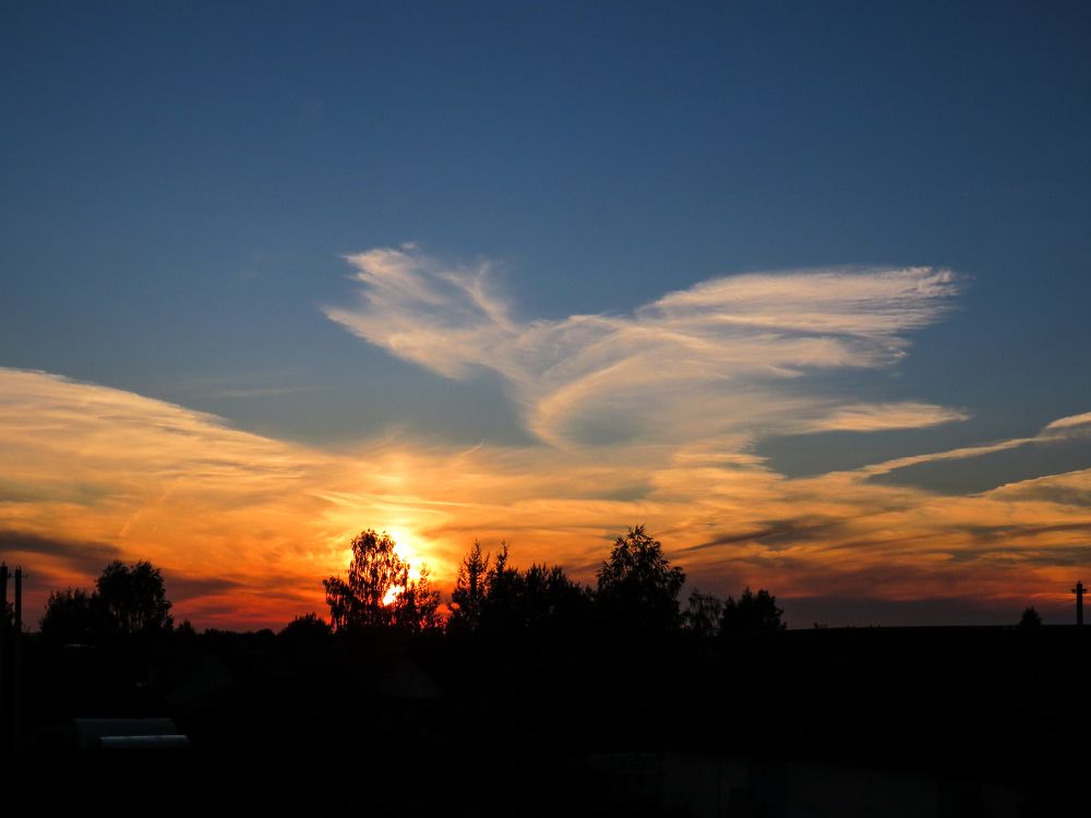 When the sun goes down, leave whatever you're doing and look