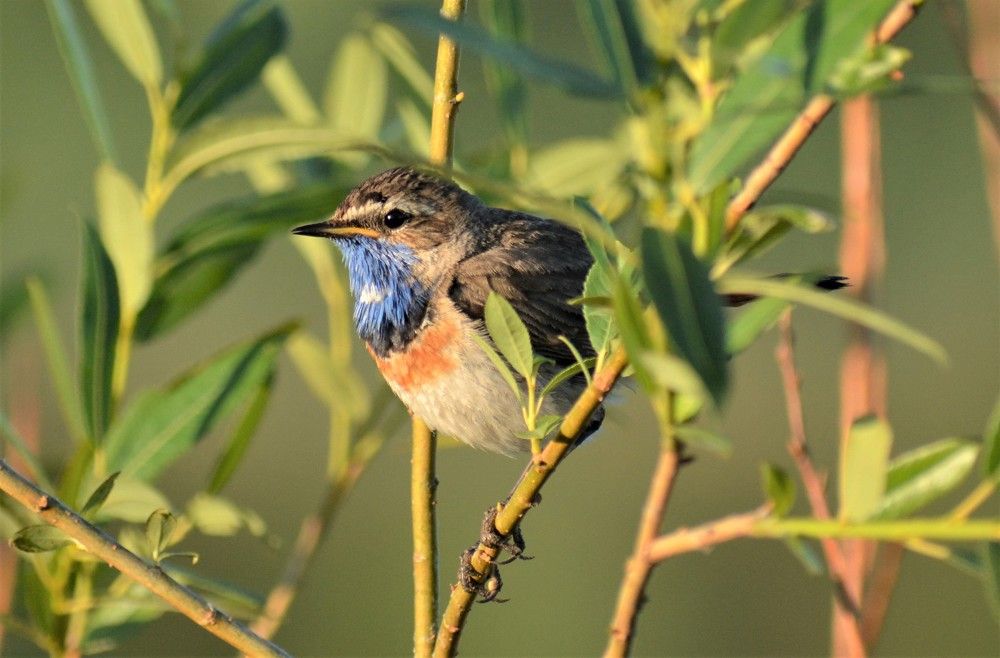 Photograph by Владислав Иопек