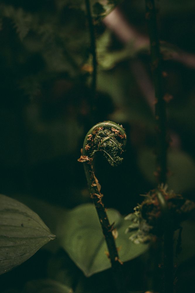 Photograph by Anna Turks