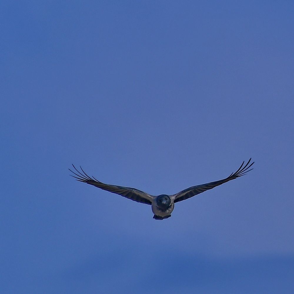 Photograph by Александр Катунцев