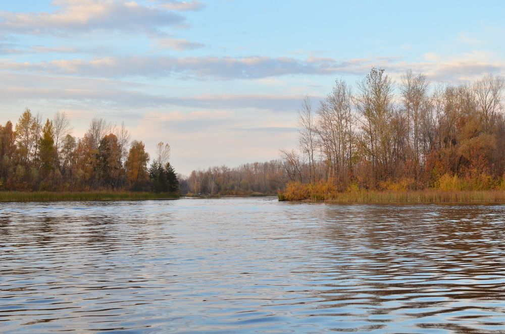 Глубокой осенью на реке