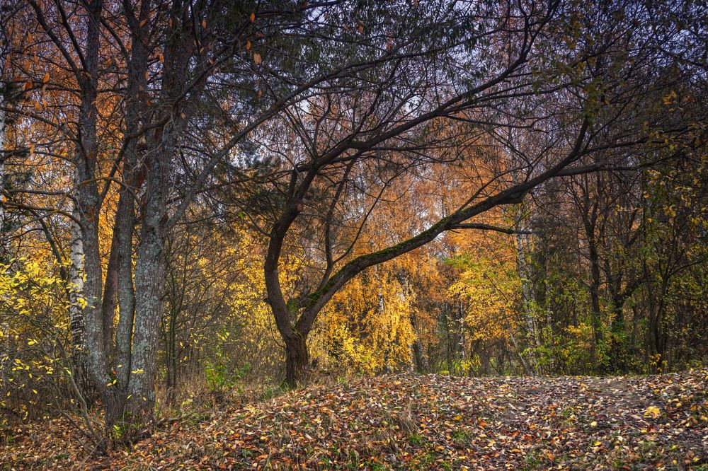 Photograph by Владимир Портуаров