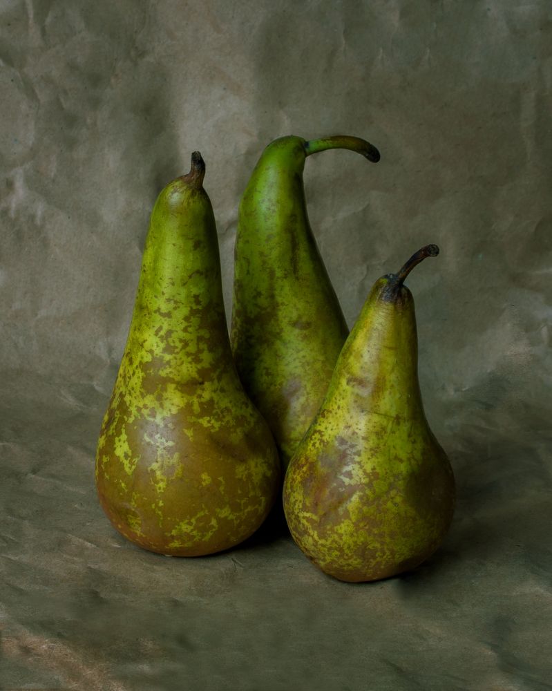 Photograph by Оксана Макарова