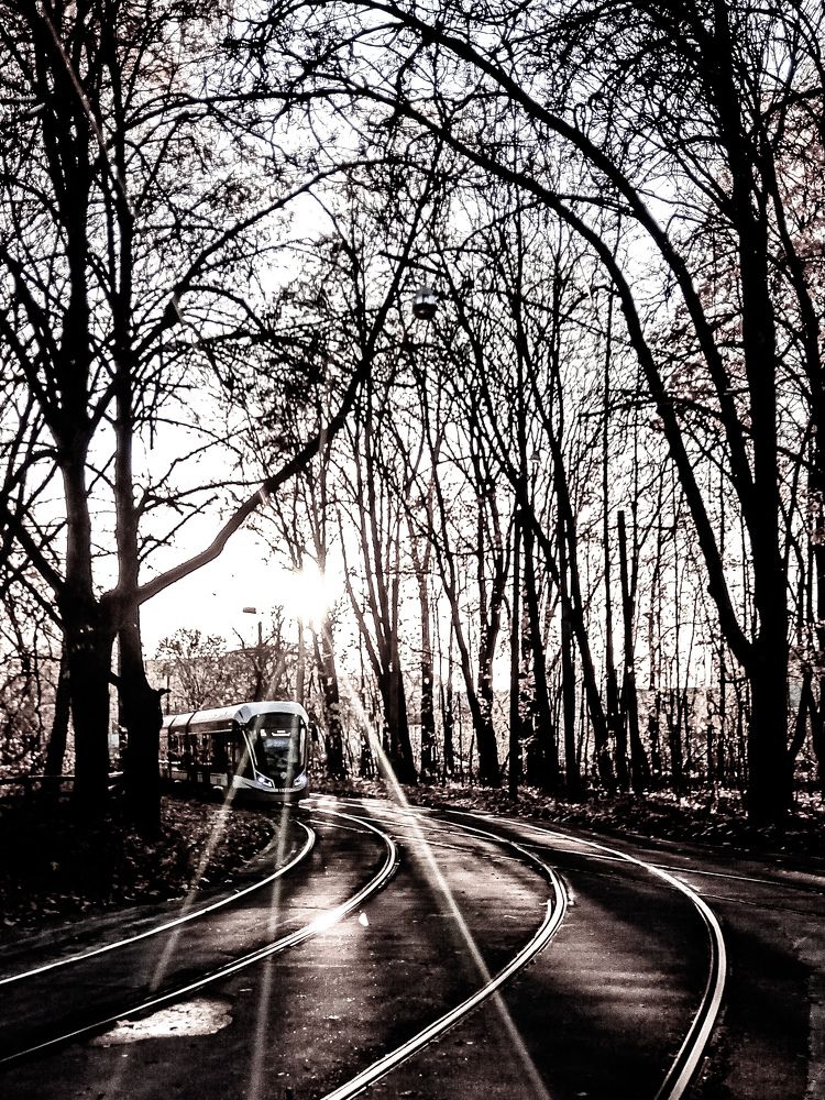 Photograph by Владимир Ковжаров