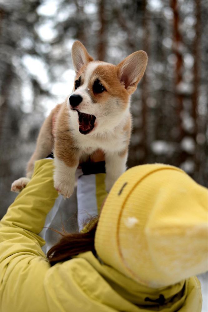 Photograph by Елена Ефимова