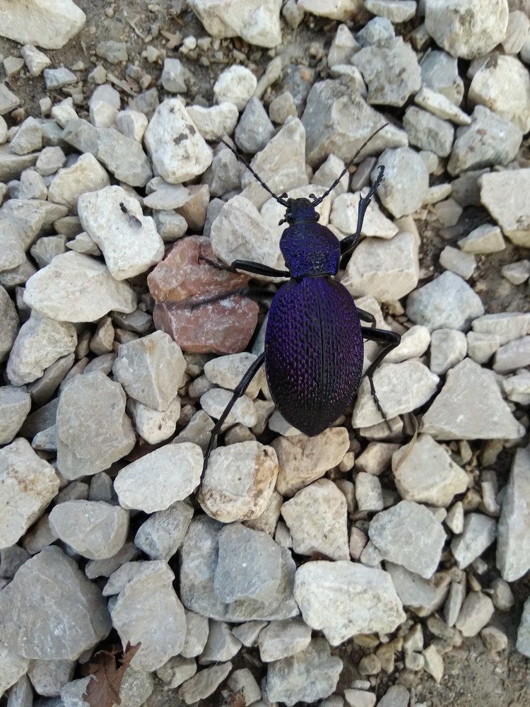 Photograph by Татьяна Ситникова