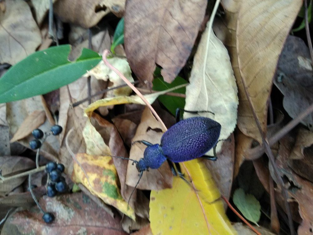 Photograph by Татьяна Ситникова