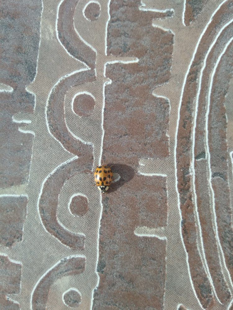 Photograph by Татьяна Ситникова