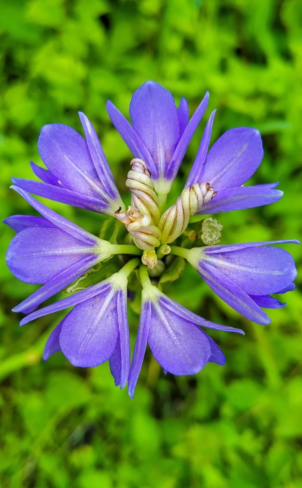 Unity makes more beautiful