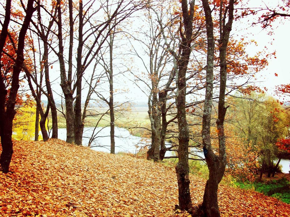 Photograph by Елена Савицкая