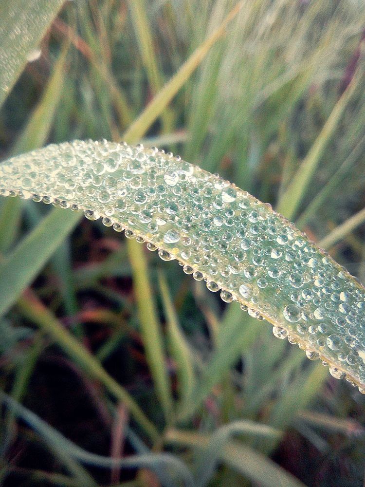 Photograph by Елена Савицкая