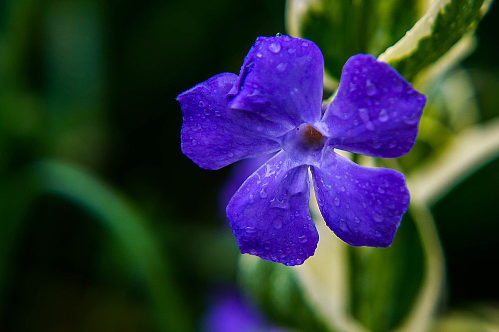 Photograph by Валерий Кондратцев