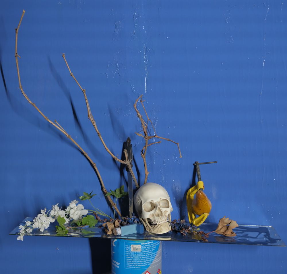 analogy of a still life