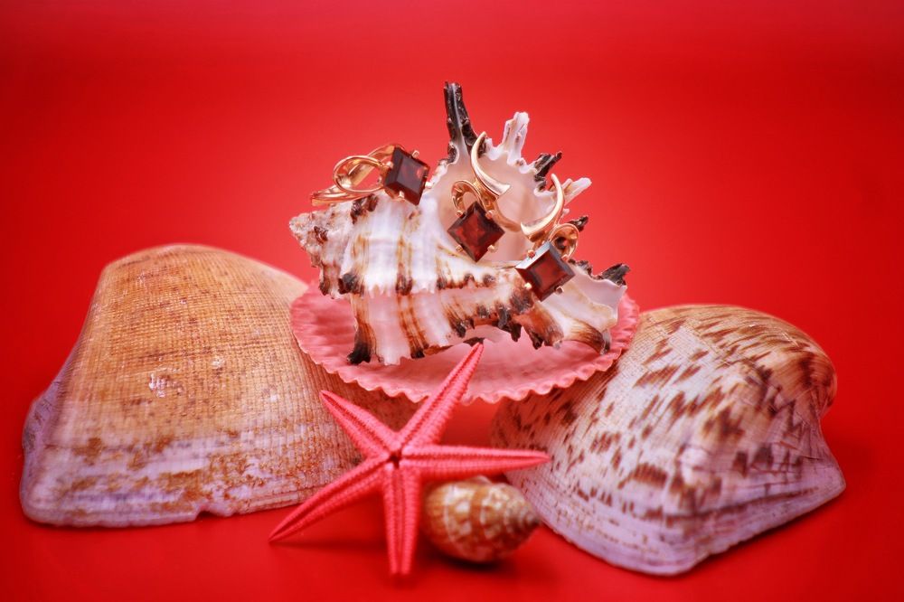 Photograph by Alexander Siemens