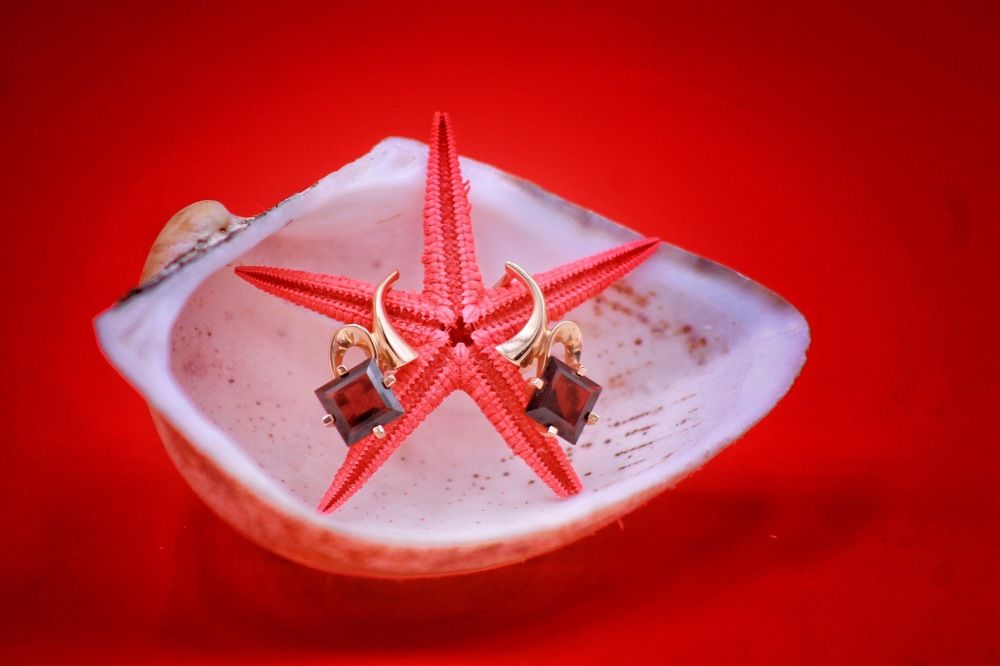 Photograph by Alexander Siemens