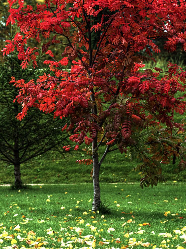 Photograph by Светлана Андреева