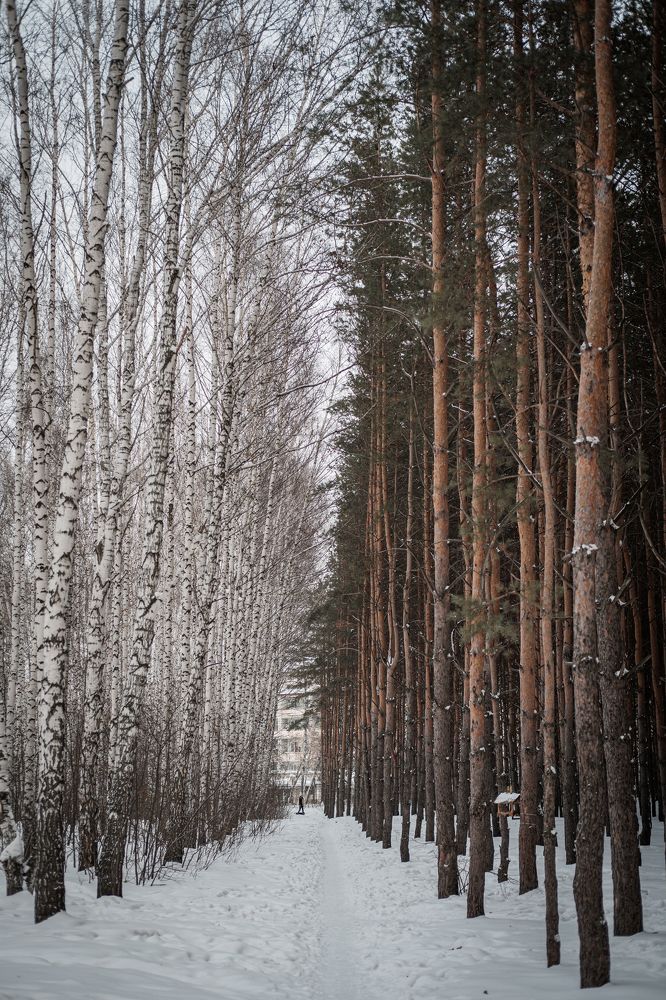 Photograph by Alexey Yuklyaevskiy