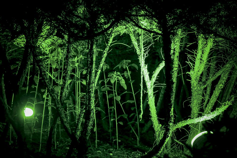 Photograph by Mahdi vagahri shorche